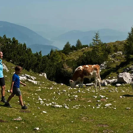 דירה Alpen Family Bergfreunde Near Skilift And Golf Course באד קליניקירשהיים