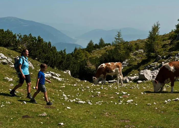 Lägenhet Alpen Family Bergfreunde Near Skilift And Golf Course Bad Kleinkirchheim
